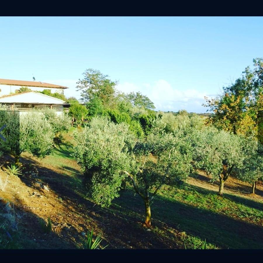 Agriturismo Colleverde Capalbio Ngoại thất bức ảnh