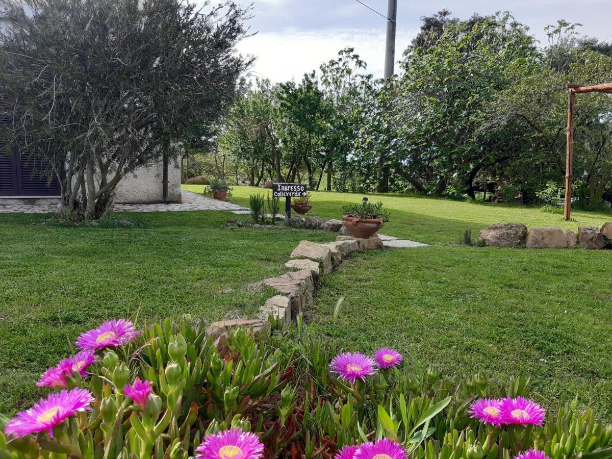 Agriturismo Colleverde Capalbio Ngoại thất bức ảnh