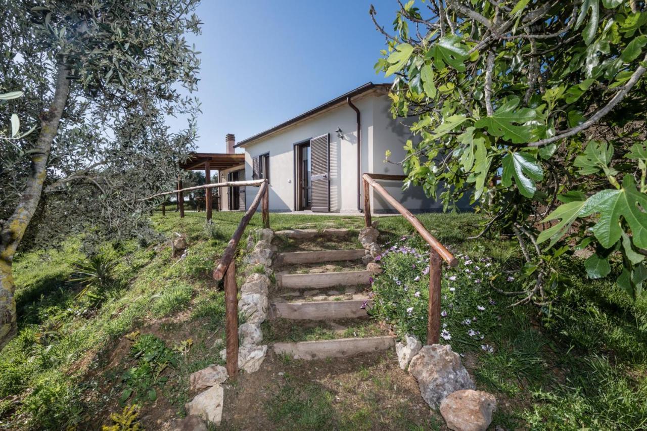 Agriturismo Colleverde Capalbio Ngoại thất bức ảnh