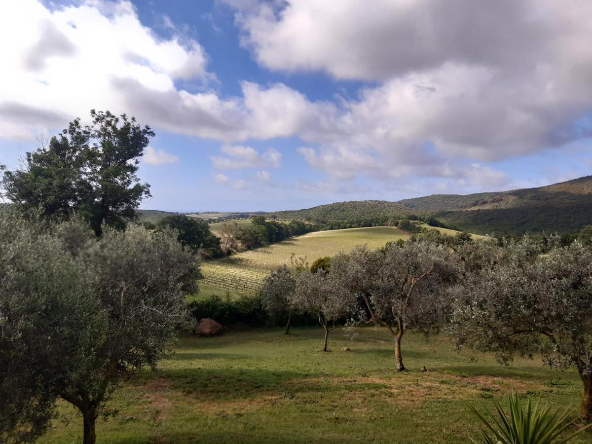 Agriturismo Colleverde Capalbio Ngoại thất bức ảnh