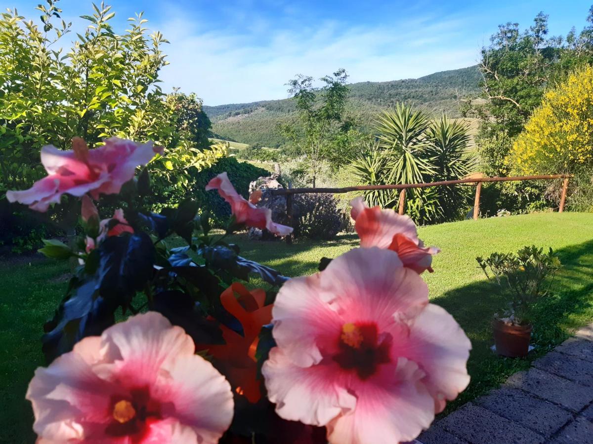 Agriturismo Colleverde Capalbio Ngoại thất bức ảnh