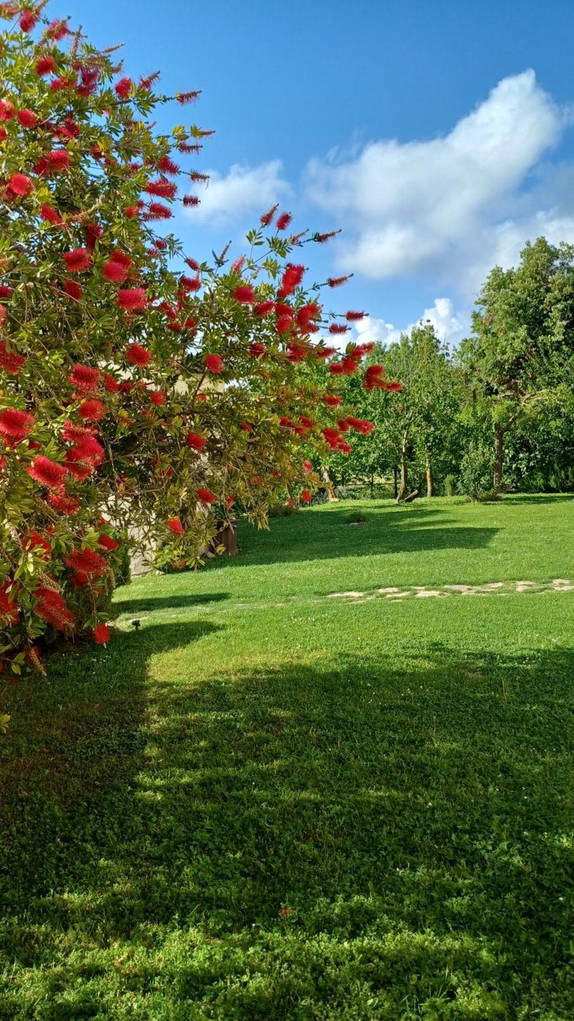 Agriturismo Colleverde Capalbio Ngoại thất bức ảnh