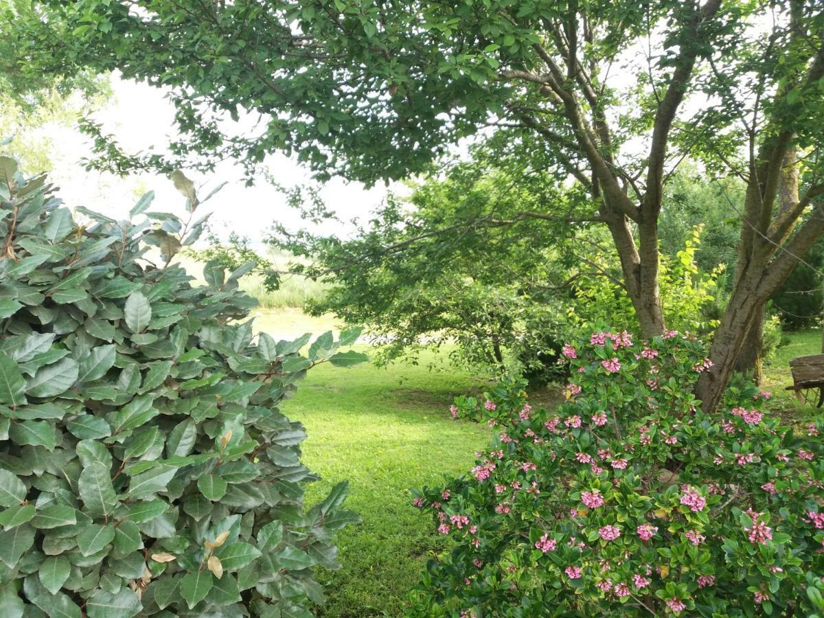 Agriturismo Colleverde Capalbio Ngoại thất bức ảnh